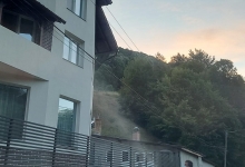 deratizare profesionala Timisoara Deratizare Timisoara I.I. Haag Zoltan