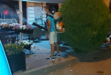 deratizare profesionala Timisoara Deratizare Timisoara I.I. Haag Zoltan