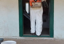 deratizare profesionala Timisoara Deratizare Timisoara I.I. Haag Zoltan