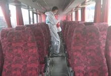 deratizare profesionala Timisoara Deratizare Timisoara I.I. Haag Zoltan