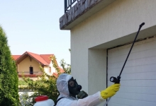 deratizare profesionala Otelu rosu Servicii Deratizare Otelu Rosu - Cristal Gesmina