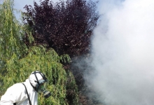 deratizare profesionala Otelu rosu Servicii Deratizare Otelu Rosu - Cristal Gesmina