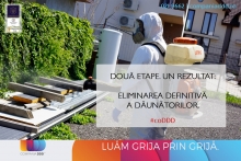 deratizare profesionala Bacau Compania DDD® Bacau - Dezinsectie, Dezinfectie, Deratizare