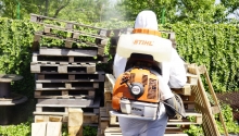 deratizare profesionala Bucuresti-Sector 6 Compania DDD® Bucuresti- Dezinsectie, Dezinfectie, Deratizare