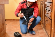 deratizare profesionala Bacau Compania DDD® Bacau - Dezinsectie, Dezinfectie, Deratizare