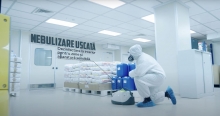 deratizare profesionala Bucuresti-Sector 6 Compania DDD® Bucuresti- Dezinsectie, Dezinfectie, Deratizare