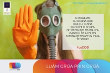 deratizare profesionala Bacau Compania DDD® Bacau - Dezinsectie, Dezinfectie, Deratizare