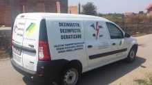 deratizare profesionala Baile Herculane Servicii Deratizare Baile Herculane  - Cristal Gesmina