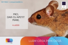 deratizare profesionala Baneasa Compania DDD® Baneasa - Dezinsectie, Dezinfectie, Deratizare