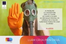 deratizare profesionala Pantelimon Compania DDD® Pantelimon - Dezinsectie, Dezinfectie, Deratizare