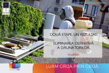 deratizare profesionala Baneasa Compania DDD® Baneasa - Dezinsectie, Dezinfectie, Deratizare