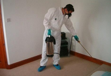 deratizare profesionala Hateg 3D Control DDD SRL