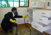 deratizare profesionala Deva 3D Control DDD SRL