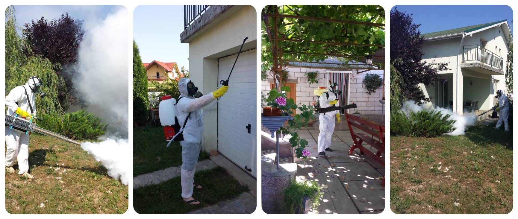 servicii_deratizare_caransebes_1730_1730_01 servicii_deratizare_caransebes_1730_1730_01